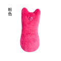 Catnip Plush Chew Toy