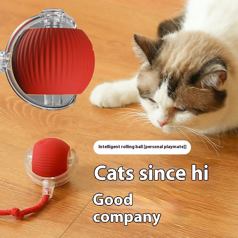 SparkBall Automatic Cat Toy