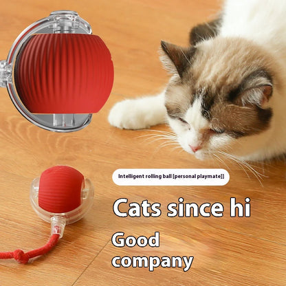 SparkBall Automatic Cat Toy
