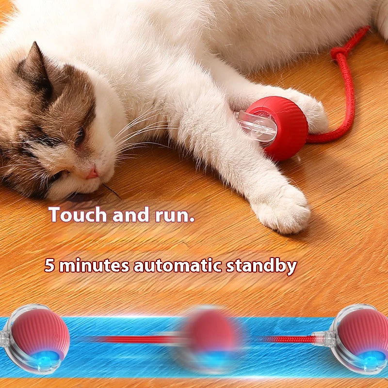SparkBall Automatic Cat Toy