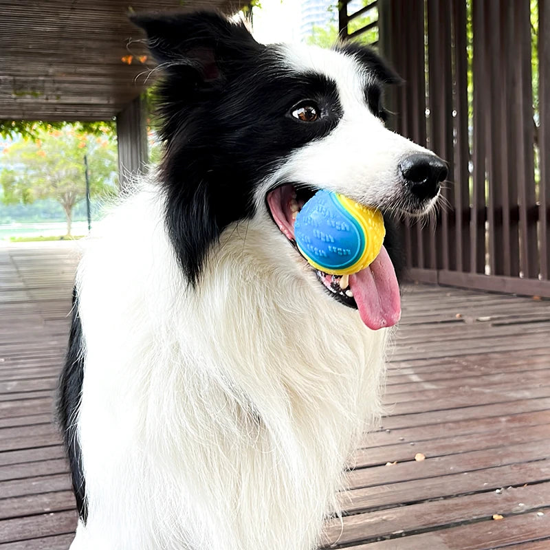 Interactive Dog Toy
