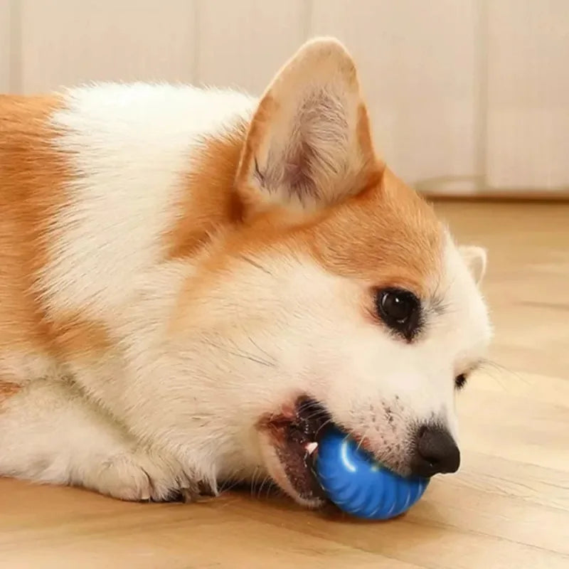 SparkBall Automatic Dog Toy
