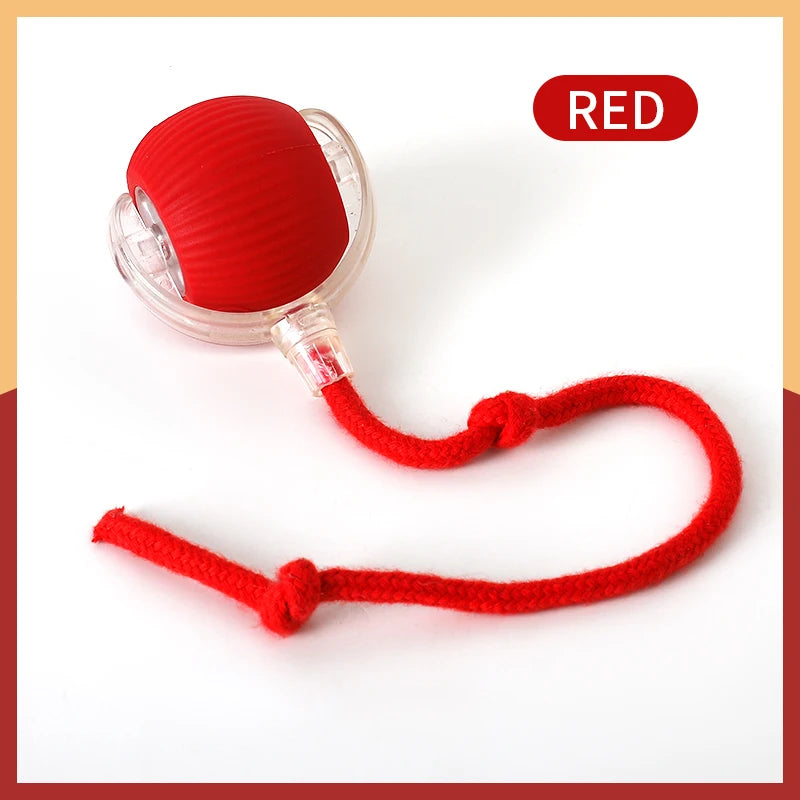 Automatic Cat Toy Ball