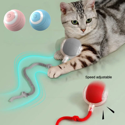 Automatic Cat Toy Ball