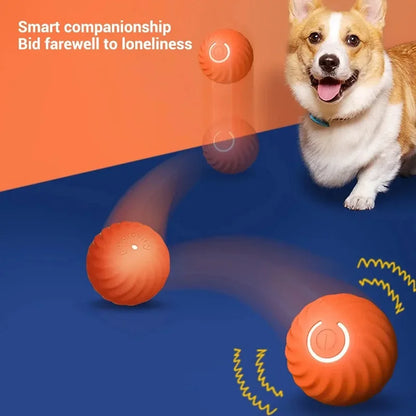 SparkBall Automatic Dog Toy