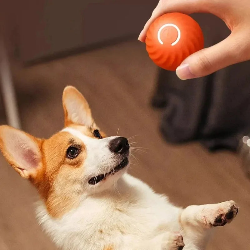 SparkBall Automatic Dog Toy