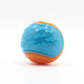 Interactive Dog Toy