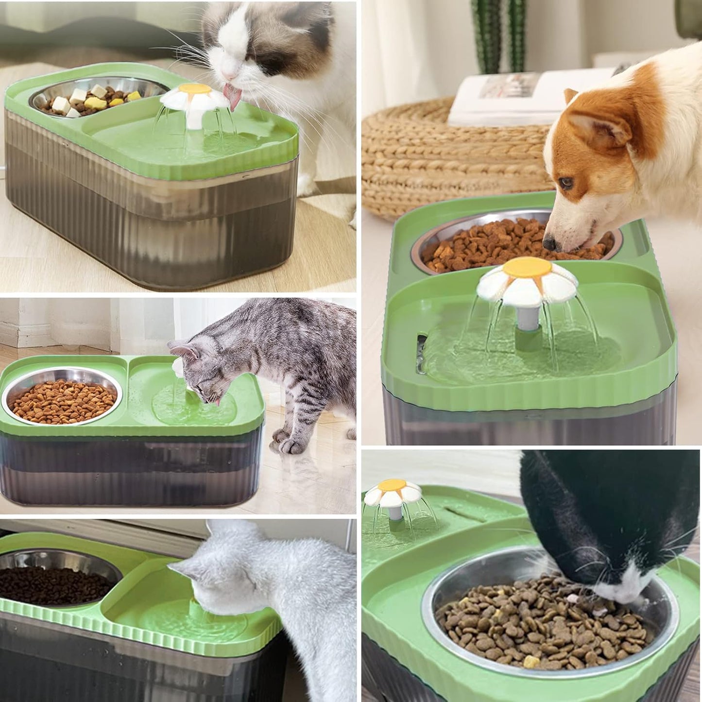 Cat Fountain Water Bowl Stainless Steel, 101Oz/3L Automatic Pet Water Fountain, Dog Water Dispenser Cat Feeding Watering Supplies with 2 Filters for Cats, Dogs, Pets Green